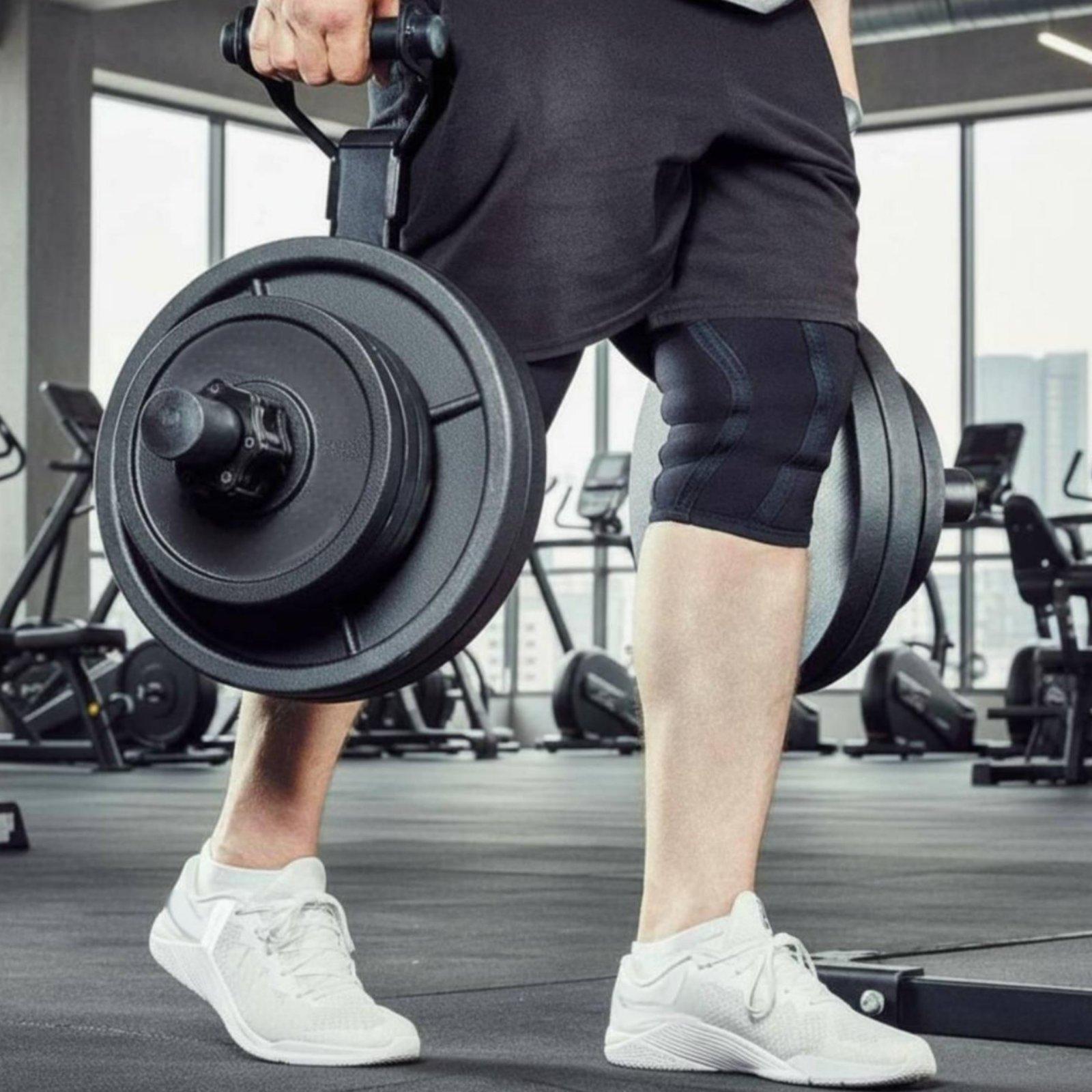 다양한 크기의 바벨 플레이트 홀더 정리대, 가정 및 상 - Fitness Equipment 리뷰 및 가격