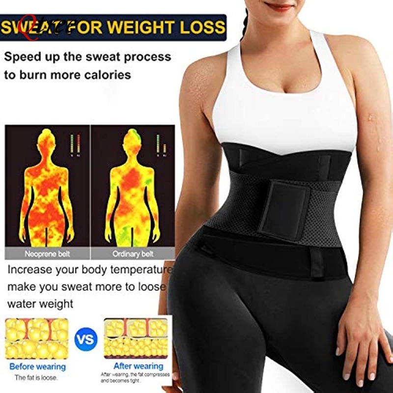 Qtree 핫 네오프렌 허리 트레이너 벨트 여성 사우나 - Sweat Waist Trainer Belt Neoprene 리뷰 및 가격