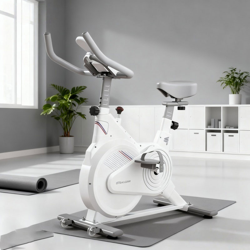 실내용 고정식 스핀 바이크, LCD 모니터가 있는 무소 - Exercise Bike Magnetic Resistance 리뷰 및 가격